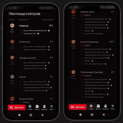 Программа лояльности